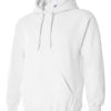Adult Hooded Sweatshirt (Unisex)