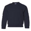 Youth Crew Neck Sweatshirt (Unisex)
