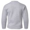 Youth Crew Neck Sweatshirt (Unisex)