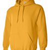 Adult Hooded Sweatshirt (Unisex)