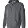 Adult Hooded Sweatshirt (Unisex)