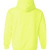 Adult Hooded Sweatshirt (Unisex)