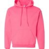 Adult Hooded Sweatshirt (Unisex)