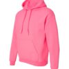 Adult Hooded Sweatshirt (Unisex)