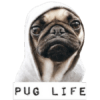PUG LIFE - Adult Long Sleeve Round-neck T-shirt