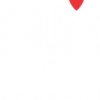 BABY XRAY  - T-shirt Col Rond Pour Adultes