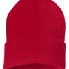 Adult Cuffed Beanie