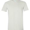Adult Softstyle T-Shirt