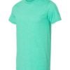 Adult Softstyle T-Shirt