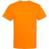 American Apparel Heavyweight Cotton Tee