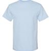 American Apparel Heavyweight Cotton Tee